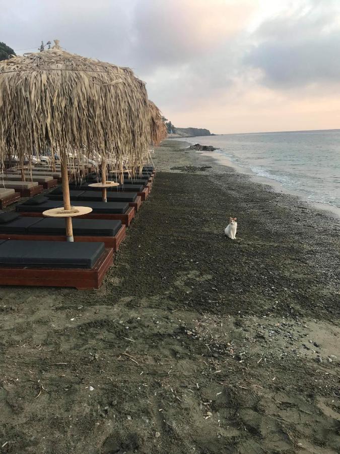 La Playa Boutique Apartments Myrties Bagian luar foto